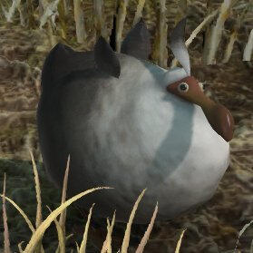 Fledgling Dodo [FFXIV]
